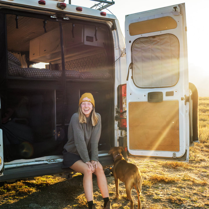 Ram Promaster Bug Screen - Rear Door