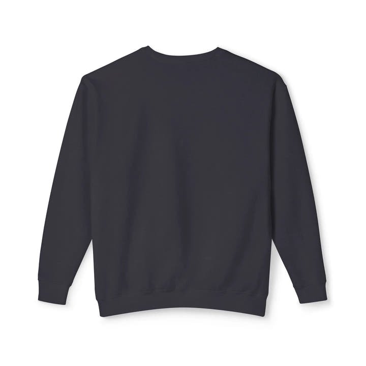 Lightweight Crewneck Sweatshirt - AVC RIG