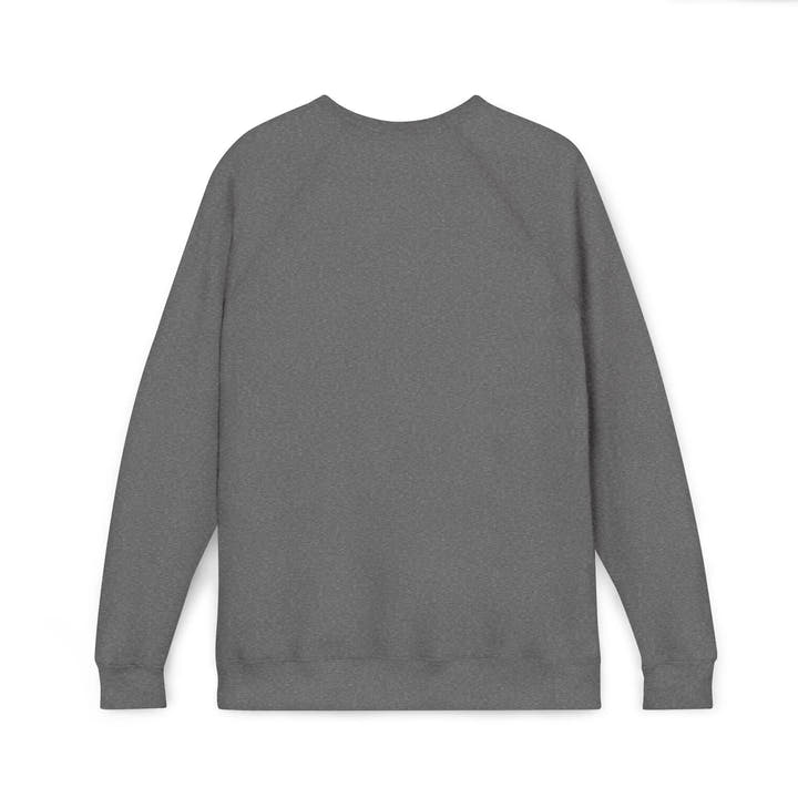 AVC RIG Fleece Raglan Sweatshirt - AVC RIG